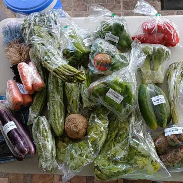 Food Rescue Philippines